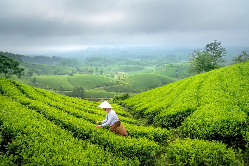 HÀ NỘI – NGHĨA LỘ	(Ăn trưa, chiều)		